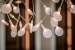 BOMACP687_19432_V0_64A2.jpg