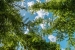 BCEABP622_23683_V0_C3DC.jpg