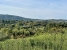 6-241328e1bcc9c0d8ce1222beb6c967a8.jpg