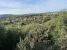 8-e64a9055bba3e77ac8aca3b893cdf826.jpg